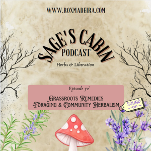 52 - Grassroots Remedies Foraging & Community herbalism