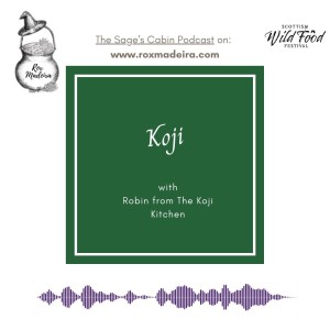 30 - Koji Ferments