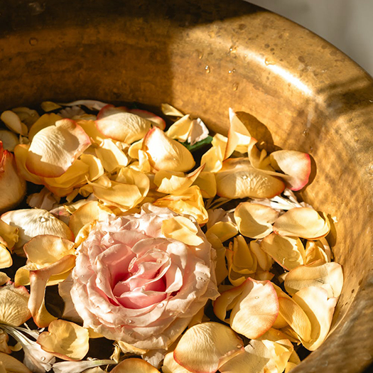 cover of episode Flower Essences