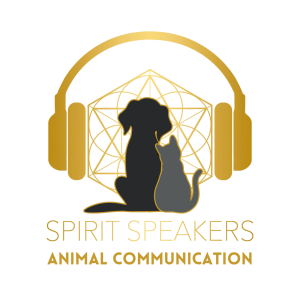 Animal Communication