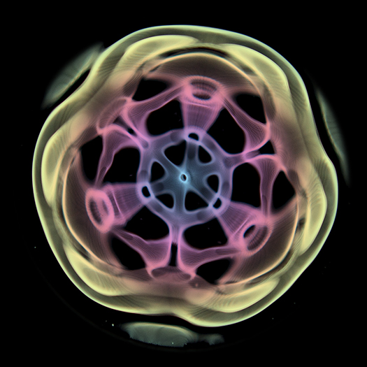 cover of episode Vibration & Frequency