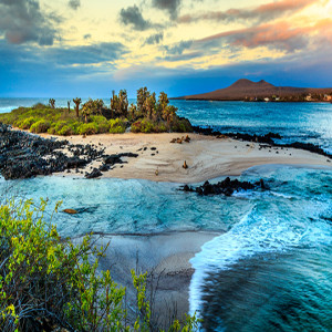 Fox World Travel Show - May 23, 2020 