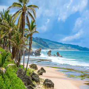 Fox World Travel Show - February 1, 2020 