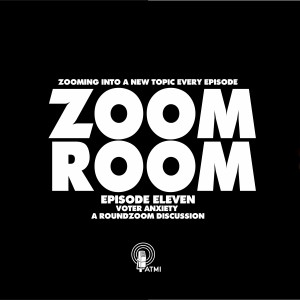 Voter Anxiety, A Roundzoom Discussion | Zoom Room #11