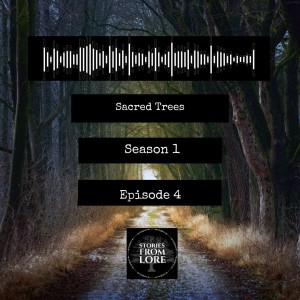 Season 1 Episode 4: Sacred Trees - Tree Folklore