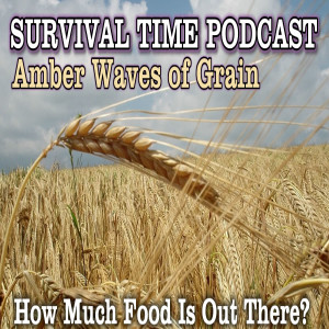 Amber Waves of Grain