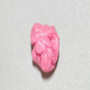 Fred, a Chewed Piece of Gum