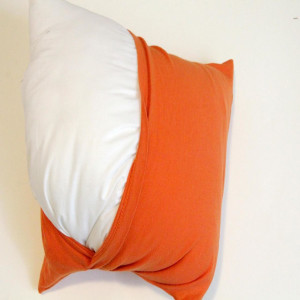 Lochen, a Pillow and Mason, a Pillowcase