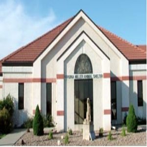 The latest news from the Humane Society of the High Plains from Betty Hansen, manager at the Virginia Miller Animal Shelter