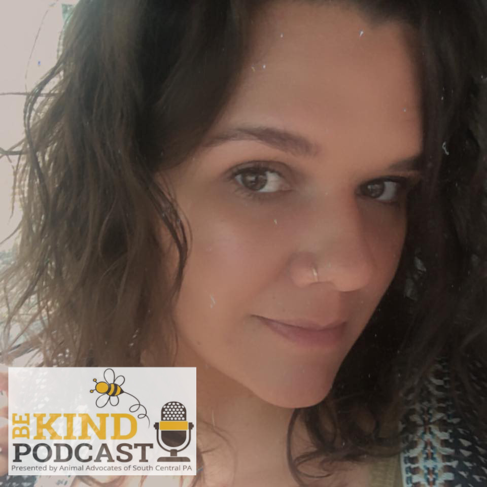 Episode 63: Lancaster VegFest Update with Courtney
