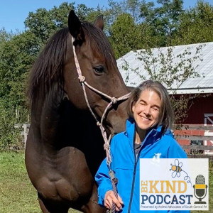 Episode 65: The Horse Racing Crisis with Alysoun