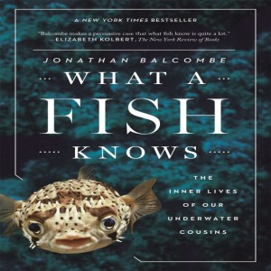 Episode 24: What does a fish know anyway? A virtual book club with Seth!