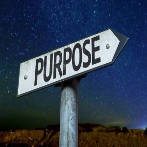 Purpose-driven Finances: Summary and perspective