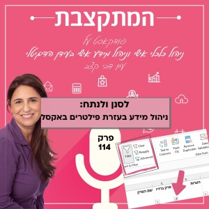לסנן ולנתח: ניהול מידע בעזרת פילטרים באקסל - פרק 114