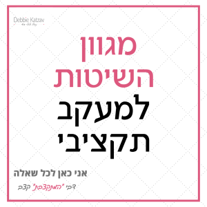 פרק 13 - סוגי השיטות למעקב תקציבי