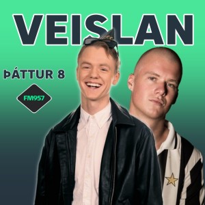 Veislan með Gústa B - Birnir