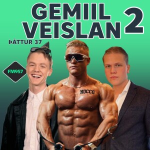 Gummi Emil 2 (GEMIL VEISLAN)