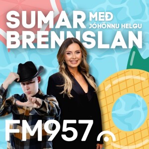 SUMAR BRENNSLAN #1 - Óvinsælar skoðanir með Ólafi Jóhanni
