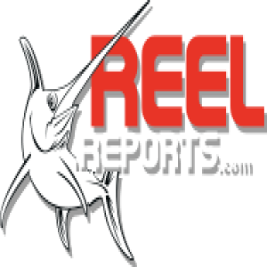 Fishing Tips and Articles | Reelreports.com