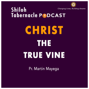 Christ The True Vine