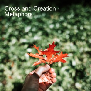 The Cross and Creation - Part 6 - Metaphors
