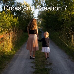 Cross and Creation 7 - Which model fits best?