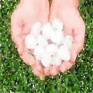 22. The hailstorm
