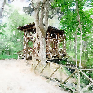 24. Bridge over the creek