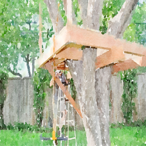 29. The tree house