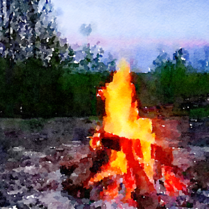 38. Bears and camping