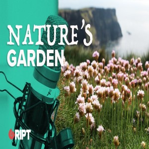 Nature's Garden 01 - Give your garden to nature