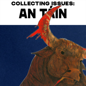 Collecting Issues An Táin