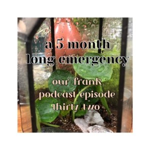 episode thirty two 5 month emergency