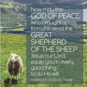 The Risen Jesus Cares for Your Soul!