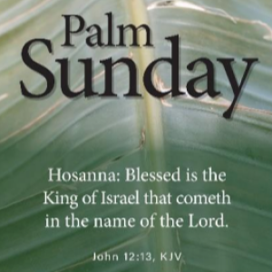 From Palms to Passion... - Palm Sunday