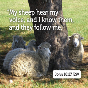 Lent3 | Listening to the Good Shepherd