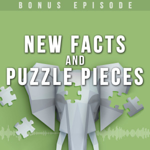 New Facts and Puzzle Pieces