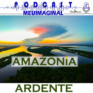 Amazonia ardente