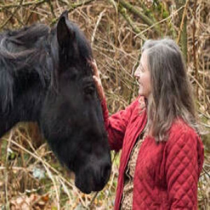 The Horse Behavior Consultant: Dr Robin Foster