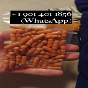 Adderall For Sale Online | +19014011856
