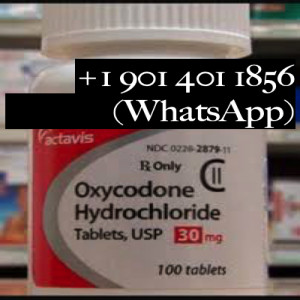 Purchase Oxycontin Online Whatsapp | +1 901 401 1856
