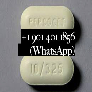 Purchase Percocet Online | +1 901 401 1856