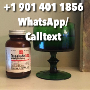 Purchase Quaalude Online +1 901 401 1856