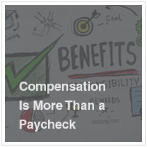 Compensation Is More Than a Paycheck | Elaine Sommerville