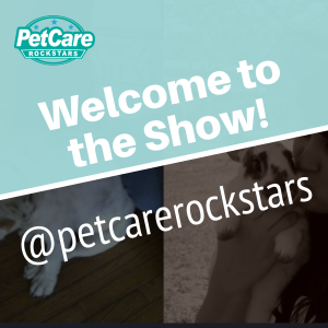Podcast Trailer- Welcome to Pet Care Rock Stars!