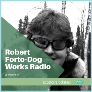 Mushing with Robert Forto of Alaska Dog Works