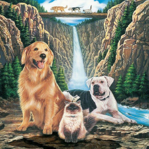 Episode 41 : Homeward Bound: The Incredible Journey (1993) Review & Discussion