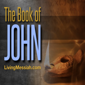 Book of John Study 7-18