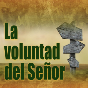 La Voluntad del Señor