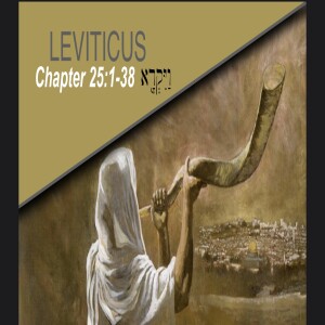 Book of Leviticus Study Ch 25:1-38